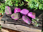 Polished Stichtite Free Forms x 6 From Barberton, South Africa - Toprock Gemstones and Minerals 
