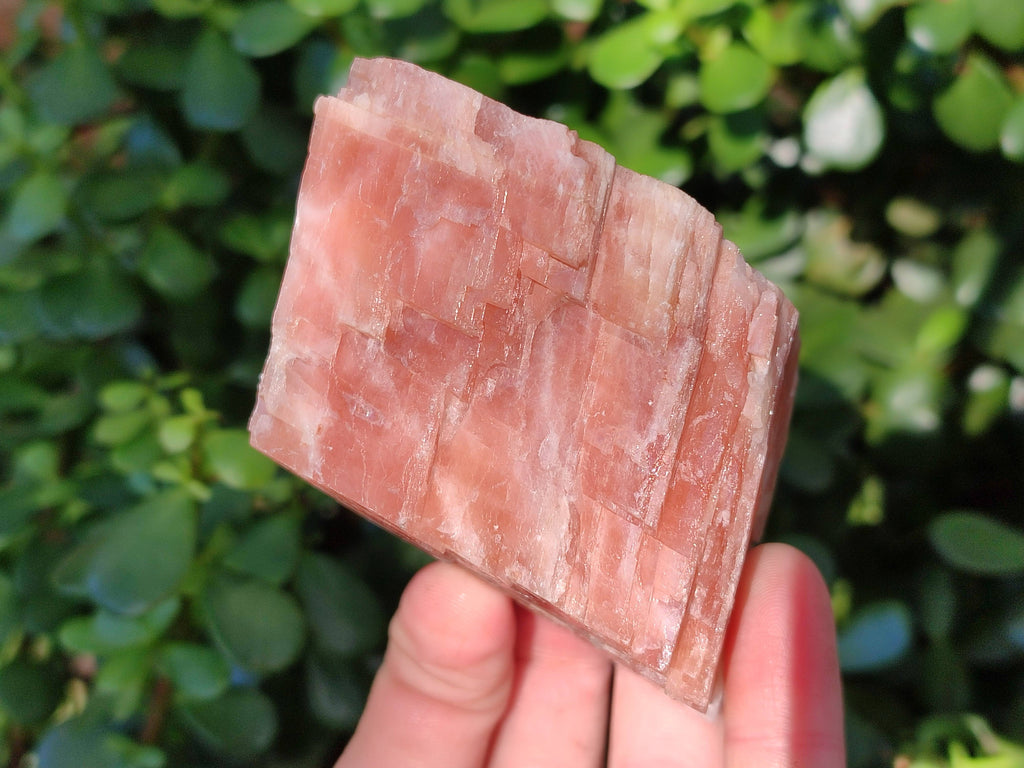 Natural Sunset Orange Calcite Specimens x 6 From Spitzkop, Namibia - Toprock Gemstones and Minerals 