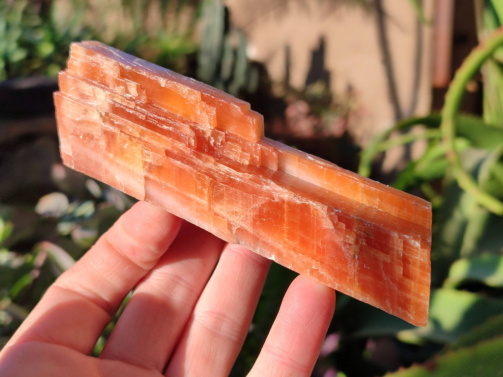 Natural Sunset Orange Calcite Specimens x 6 From Spitzkop, Namibia - Toprock Gemstones and Minerals 