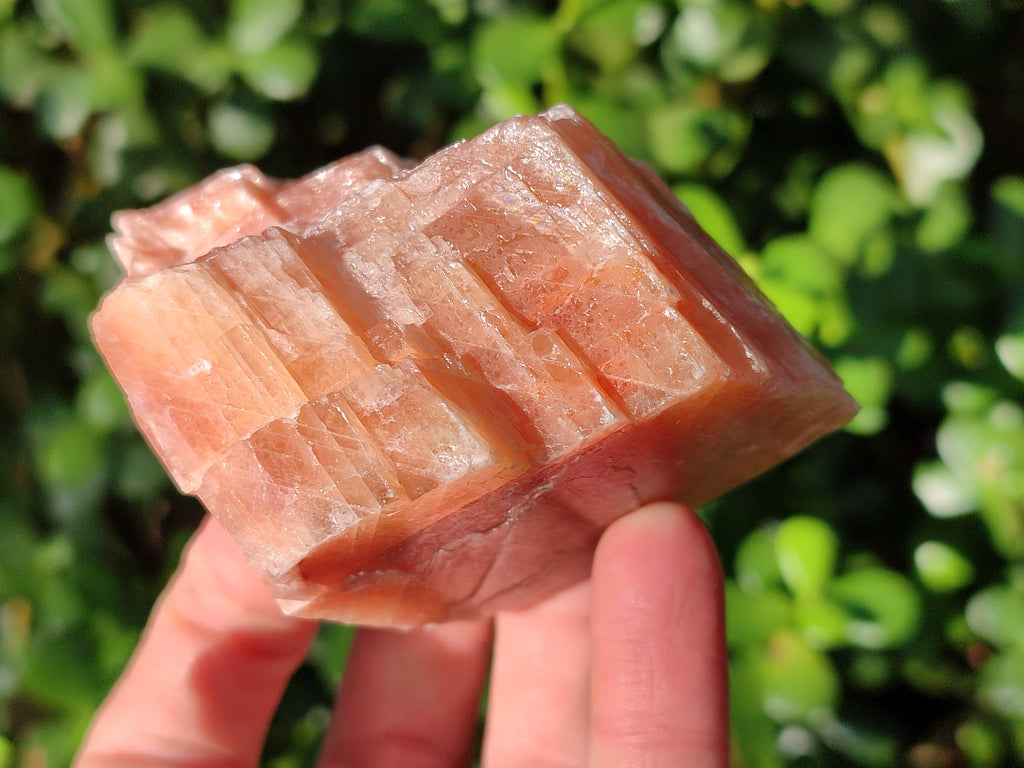 Natural Sunset Orange Calcite Specimens x 6 From Spitzkop, Namibia - Toprock Gemstones and Minerals 