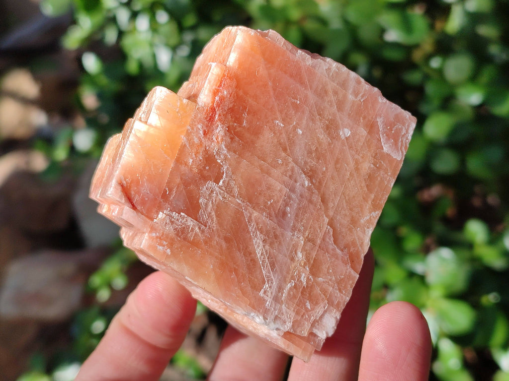 Natural Sunset Orange Calcite Specimens x 6 From Spitzkop, Namibia - Toprock Gemstones and Minerals 