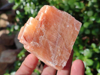 Natural Sunset Orange Calcite Specimens x 6 From Spitzkop, Namibia
