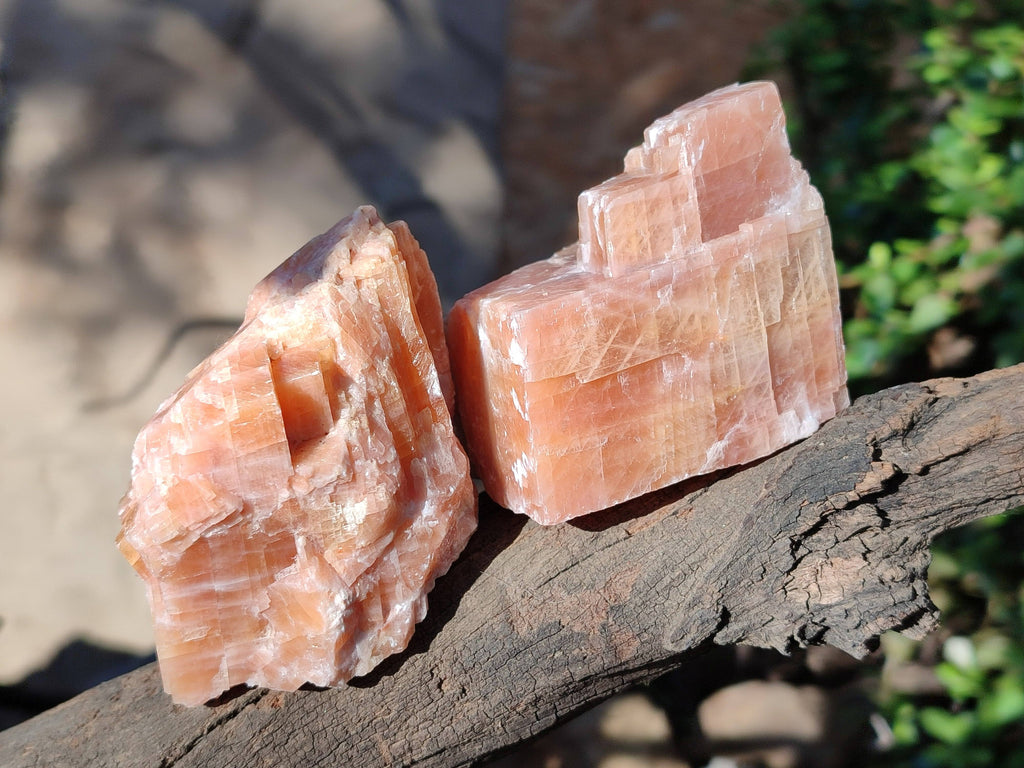 Natural Sunset Orange Calcite Specimens x 6 From Spitzkop, Namibia - Toprock Gemstones and Minerals 