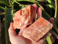 Natural Sunset Orange Calcite Specimens x 6 From Spitzkop, Namibia