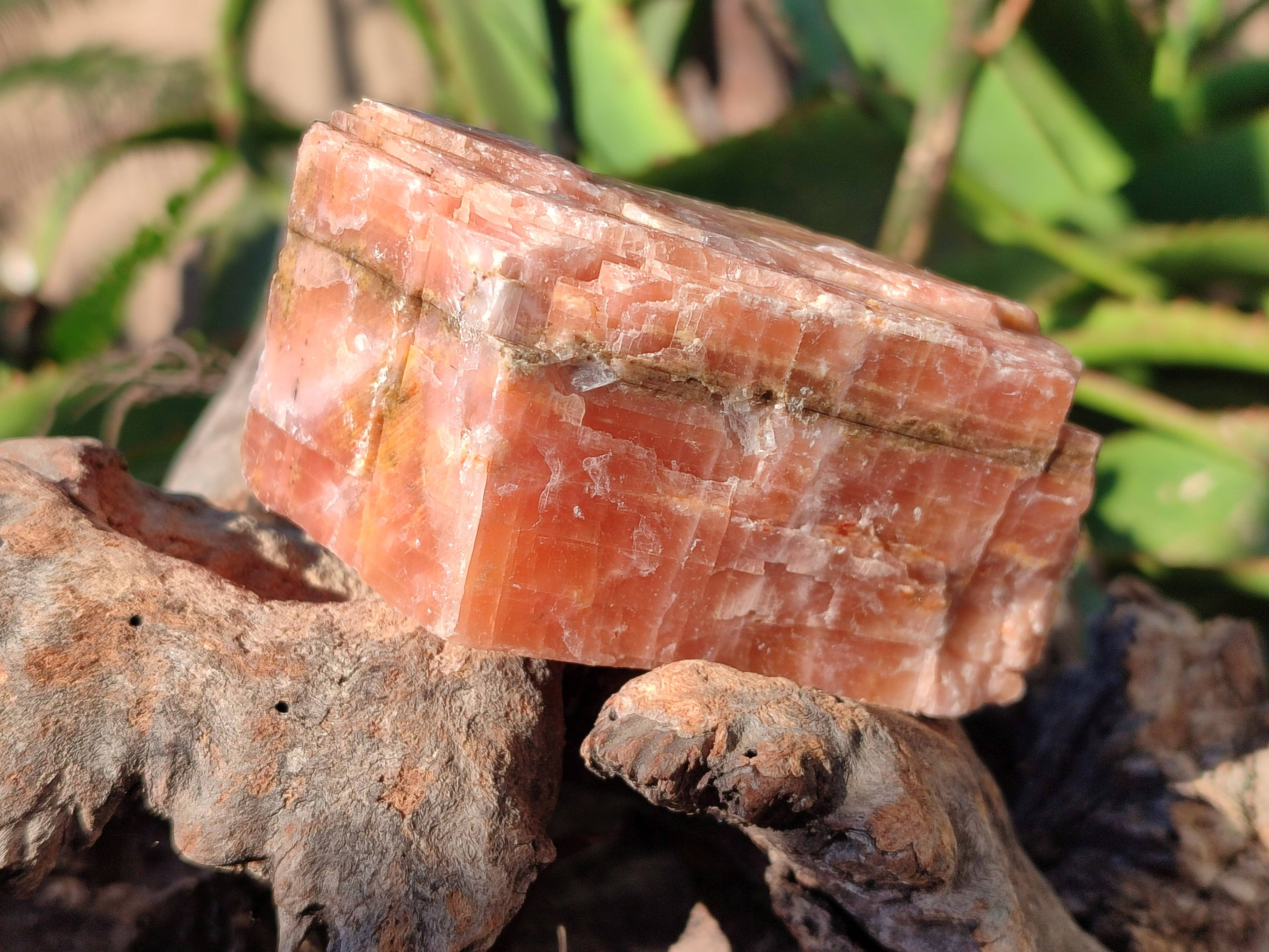 Natural Sunset Orange Calcite Specimens x 6 From Spitzkop, Namibia - Toprock Gemstones and Minerals 