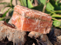 Natural Sunset Orange Calcite Specimens x 6 From Spitzkop, Namibia