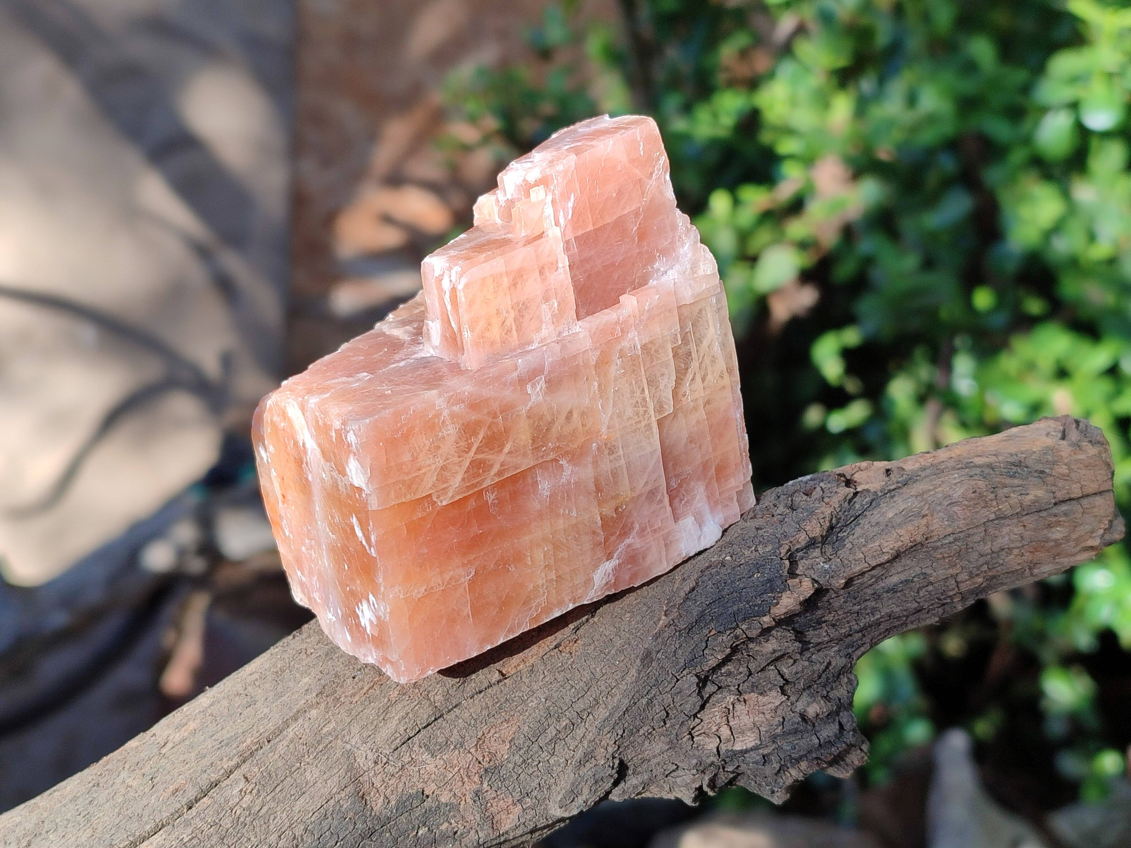 Natural Sunset Orange Calcite Specimens x 6 From Spitzkop, Namibia - Toprock Gemstones and Minerals 