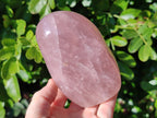 Polished Rose Quartz Standing Free Forms x 2 Madagascar - Toprock Gemstones and Minerals 
