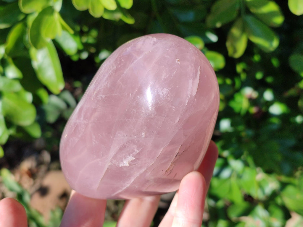 Polished Rose Quartz Standing Free Forms x 2 Madagascar - Toprock Gemstones and Minerals 