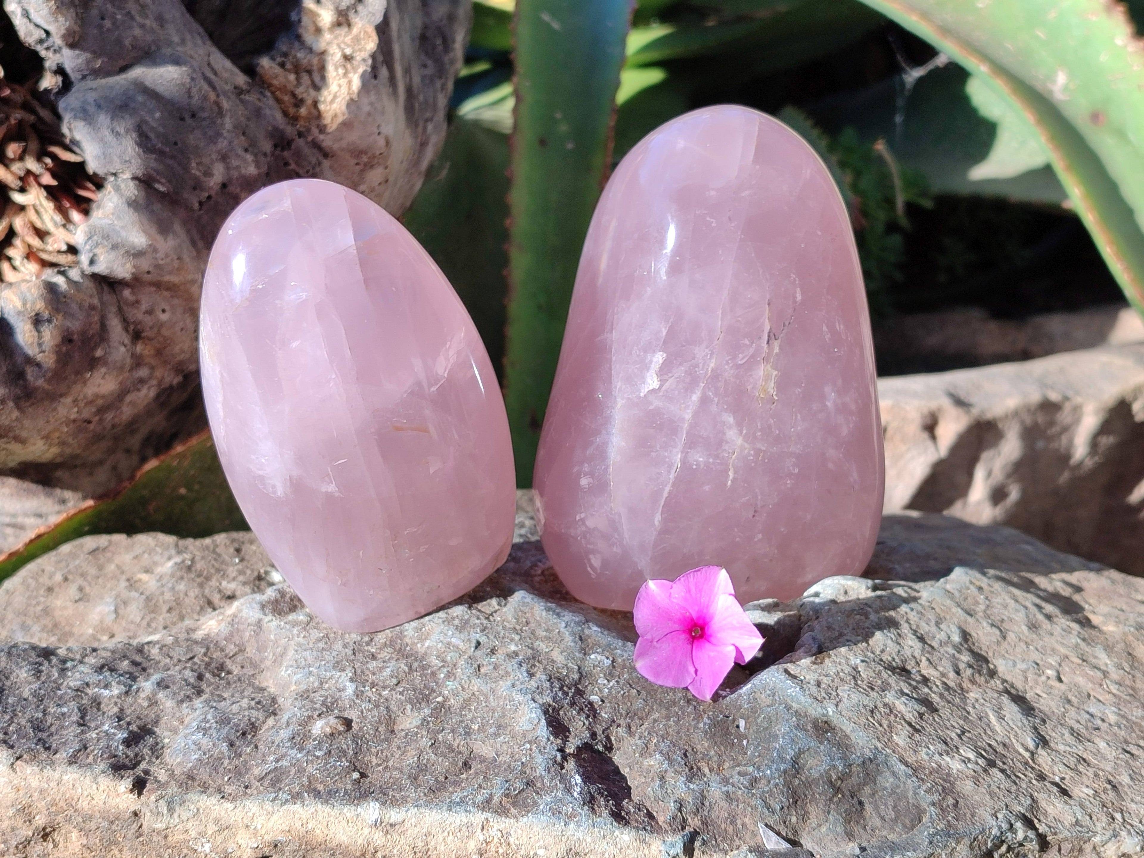 Polished Rose Quartz Standing Free Forms x 2 Madagascar - Toprock Gemstones and Minerals 