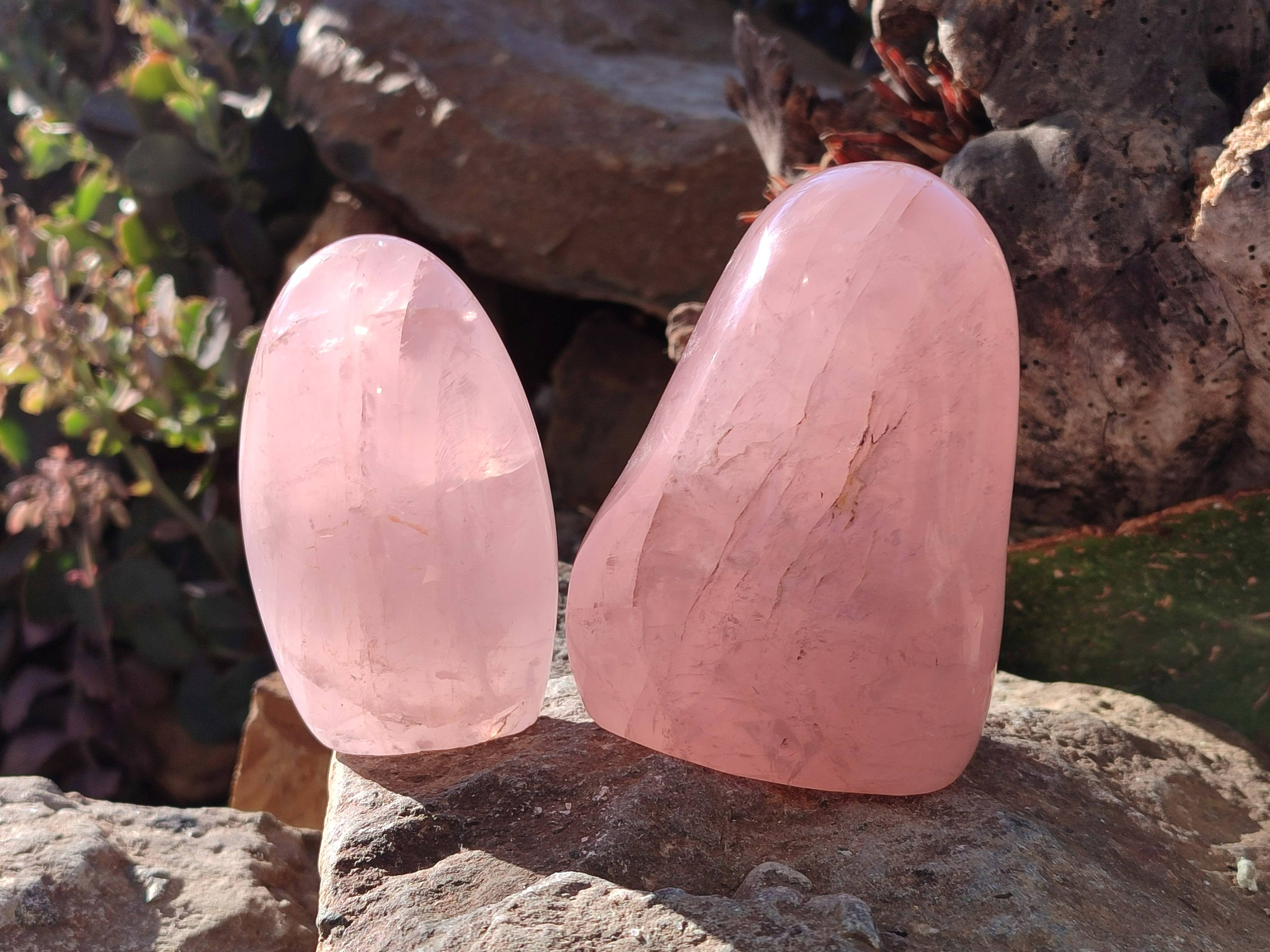 Polished Rose Quartz Standing Free Forms x 2 Madagascar - Toprock Gemstones and Minerals 