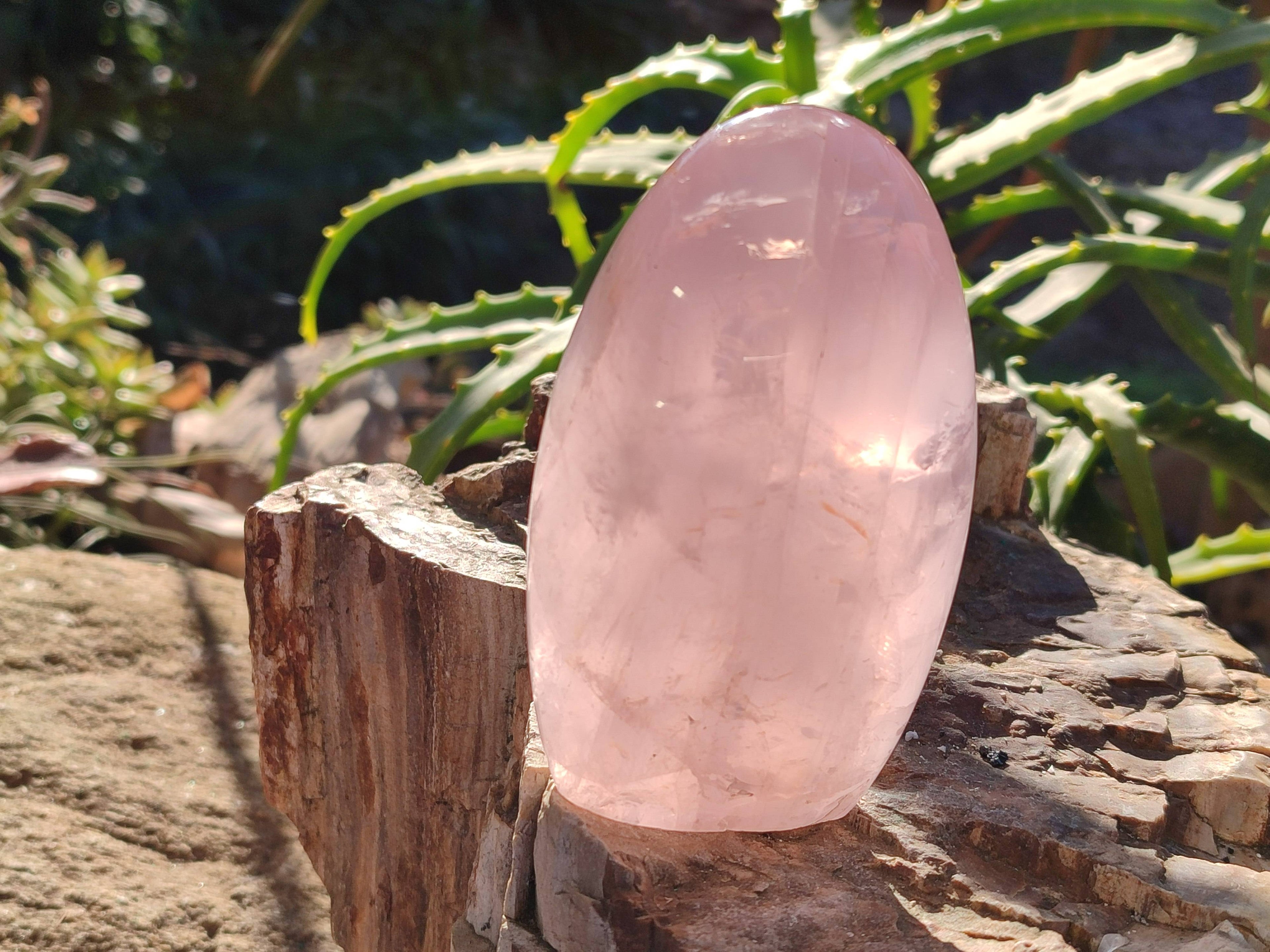 Polished Rose Quartz Standing Free Forms x 2 Madagascar - Toprock Gemstones and Minerals 