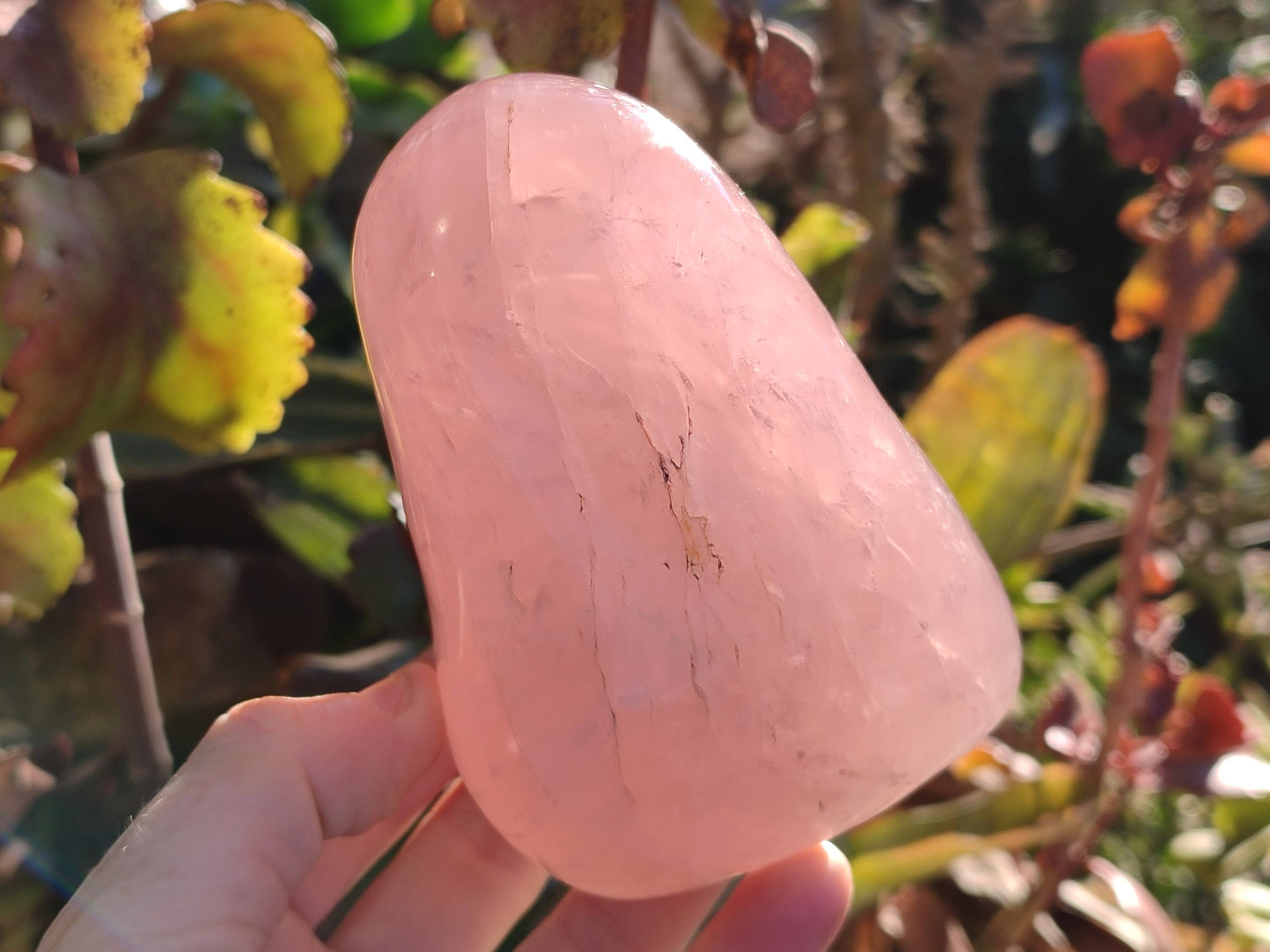 Polished Rose Quartz Standing Free Forms x 2 Madagascar - Toprock Gemstones and Minerals 