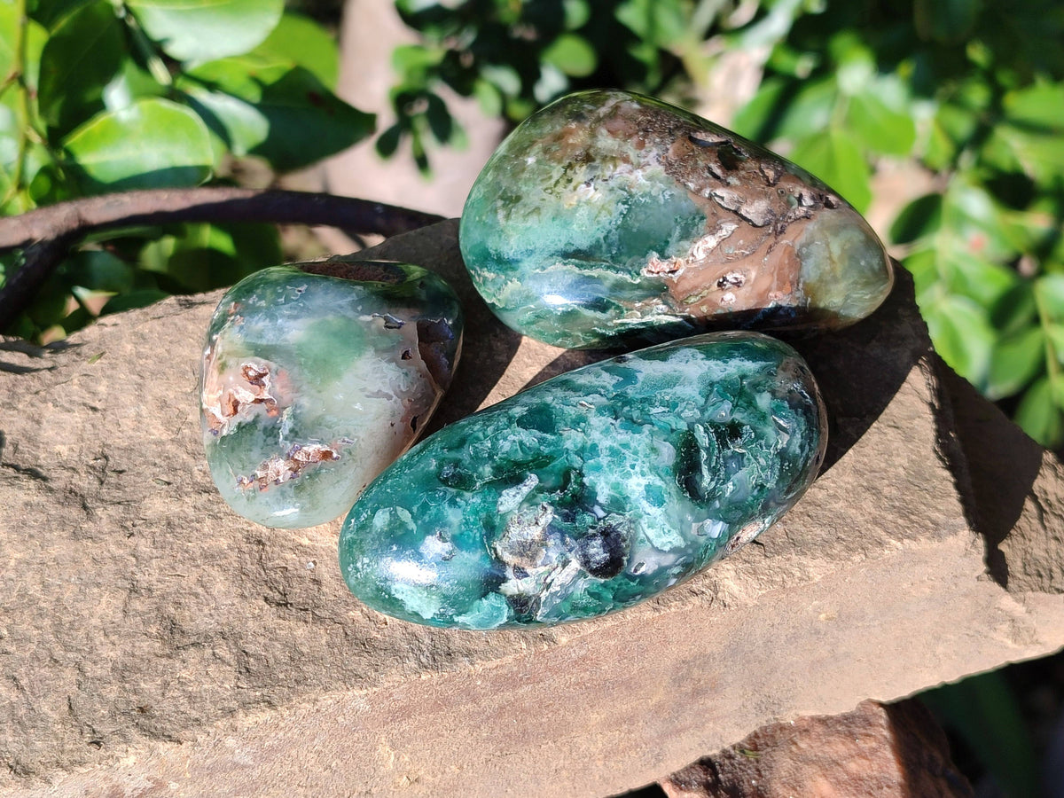 Polished Emerald Mtorolite Palm Stones x 12 From Mutorashanga, Zimbabwe - Toprock Gemstones and Minerals 