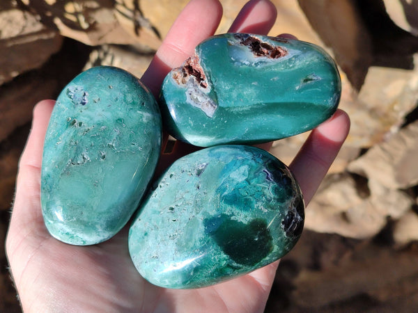 Polished Emerald Mtorolite Palm Stones x 12 From Mutorashanga, Zimbabwe - Toprock Gemstones and Minerals 