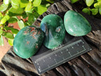 Polished Emerald Mtorolite Palm Stones x 12 From Mutorashanga, Zimbabwe - Toprock Gemstones and Minerals 