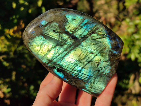 Polished Labradorite Standing Free Forms x 2 From Tulear, Madagascar - Toprock Gemstones and Minerals 