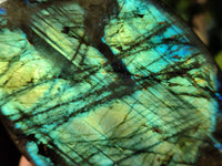Polished Labradorite Standing Free Forms x 2 From Tulear, Madagascar - Toprock Gemstones and Minerals 