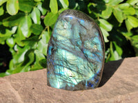Polished Labradorite Standing Free Forms x 2 From Tulear, Madagascar - Toprock Gemstones and Minerals 
