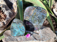 Polished Labradorite Standing Free Forms x 2 From Tulear, Madagascar - Toprock Gemstones and Minerals 