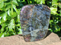 Polished Labradorite Standing Free Forms x 2 From Tulear, Madagascar - Toprock Gemstones and Minerals 