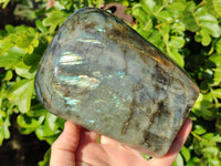 Polished Labradorite Standing Free Forms x 2 From Tulear, Madagascar - Toprock Gemstones and Minerals 