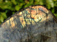 Polished Labradorite Standing Free Forms x 2 From Tulear, Madagascar - Toprock Gemstones and Minerals 