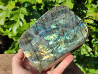 Polished Labradorite Standing Free Forms x 2 From Tulear, Madagascar - Toprock Gemstones and Minerals 