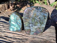 Polished Labradorite Standing Free Forms x 2 From Tulear, Madagascar - Toprock Gemstones and Minerals 