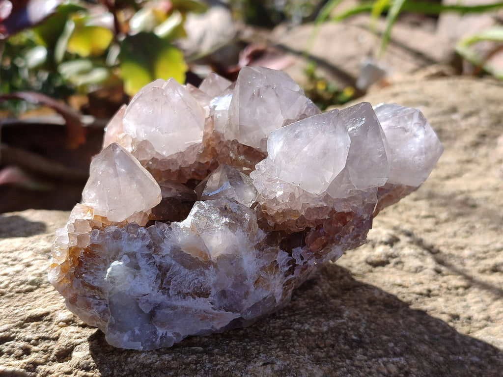 Natural Smokey Cactus Spirit Quartz Clusters x 2 From South Africa - Toprock Gemstones and Minerals 