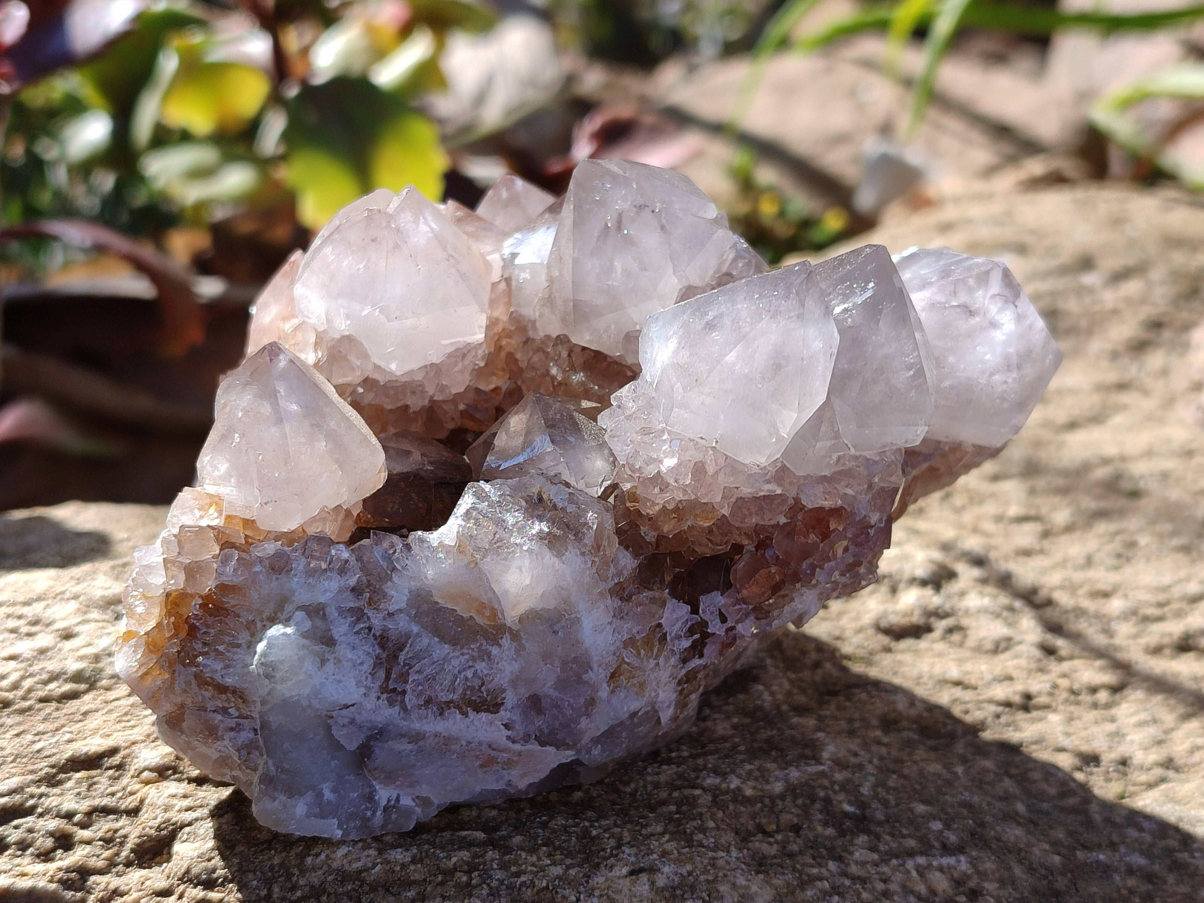 Natural Smokey Cactus Spirit Quartz Clusters x 2 From South Africa - Toprock Gemstones and Minerals 