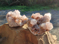 Natural Smokey Cactus Spirit Quartz Clusters x 2 From South Africa