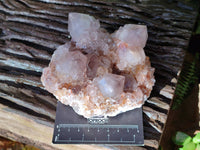 Natural Smokey Cactus Spirit Quartz Clusters x 2 From South Africa