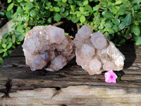 Natural Smokey Cactus Spirit Quartz Clusters x 2 From South Africa