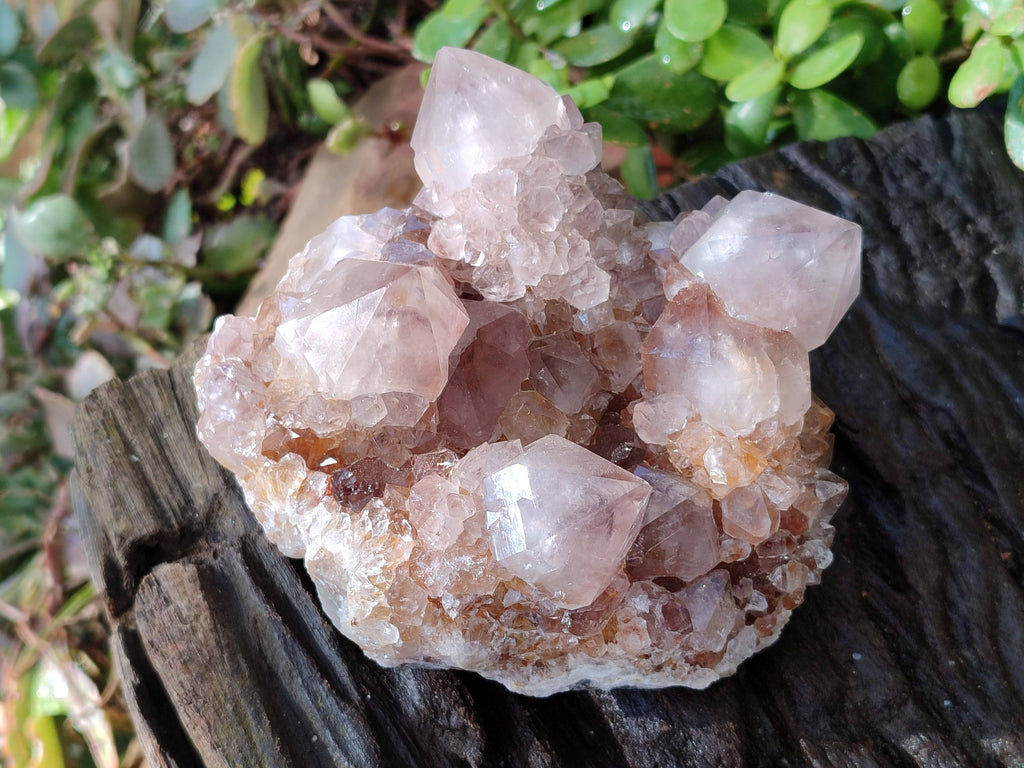 Natural Smokey Cactus Spirit Quartz Clusters x 2 From South Africa - Toprock Gemstones and Minerals 