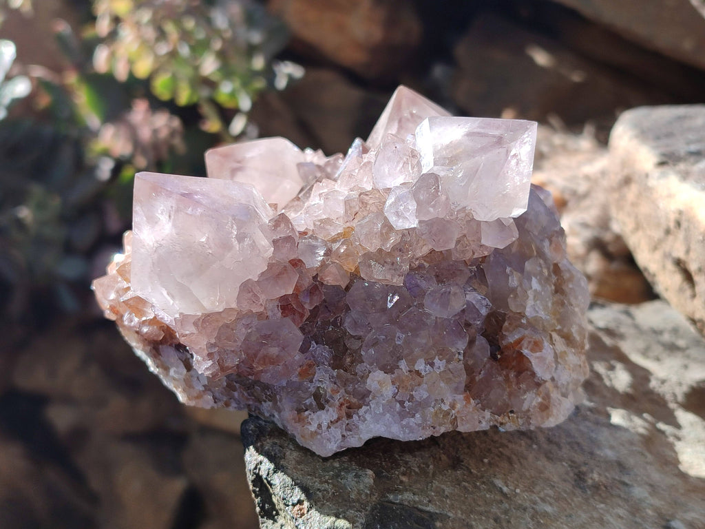 Natural Smokey Cactus Spirit Quartz Clusters x 2 From South Africa - Toprock Gemstones and Minerals 