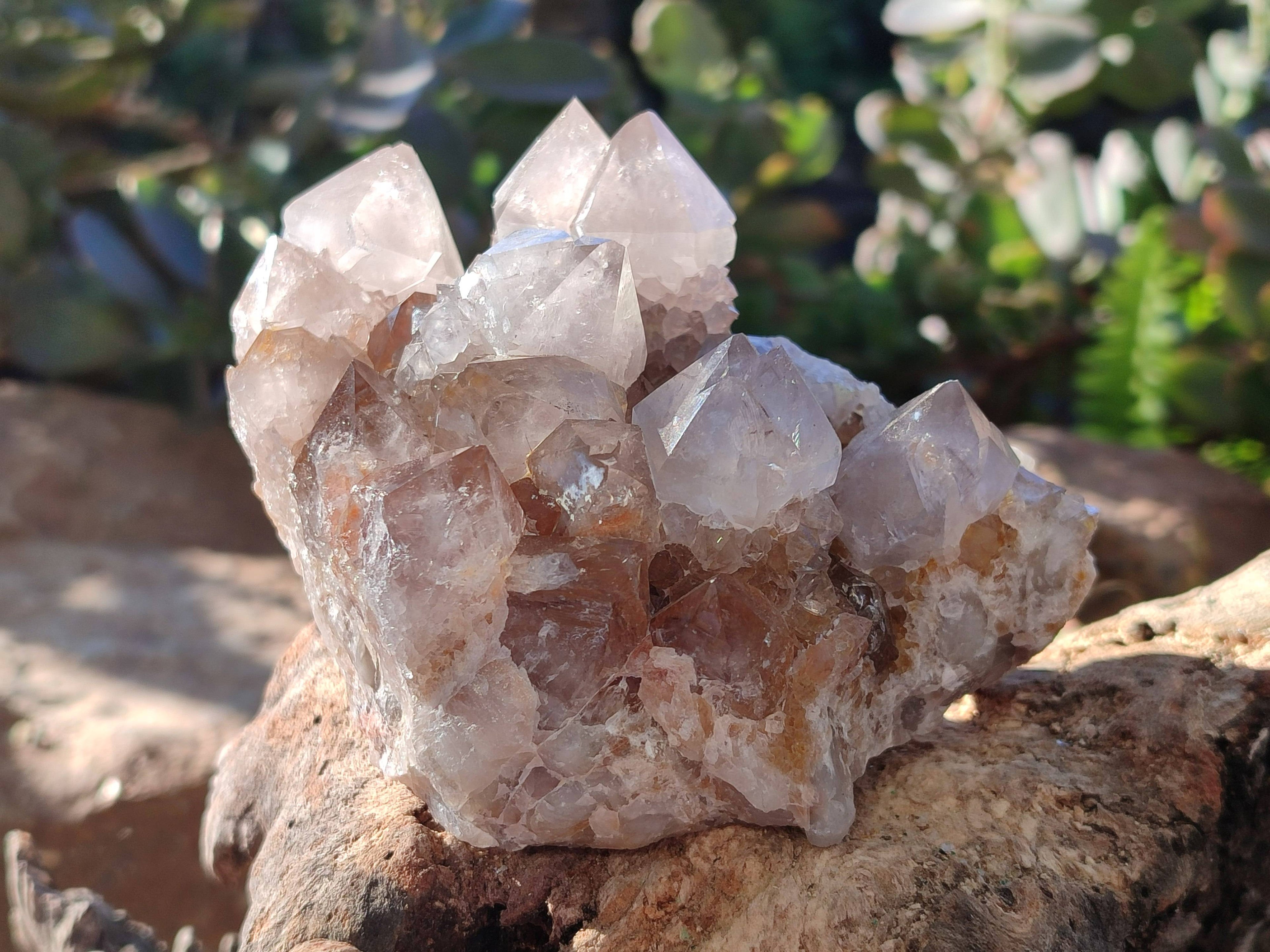 Natural Smokey Cactus Spirit Quartz Clusters x 2 From South Africa - Toprock Gemstones and Minerals 