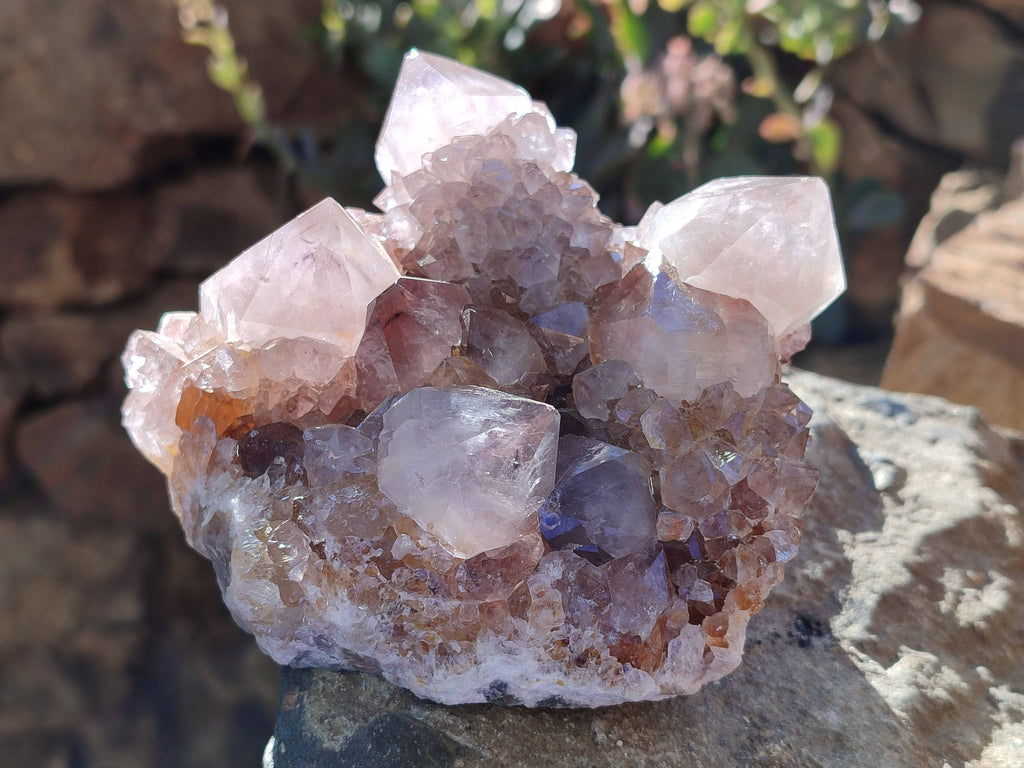 Natural Smokey Cactus Spirit Quartz Clusters x 2 From South Africa - Toprock Gemstones and Minerals 