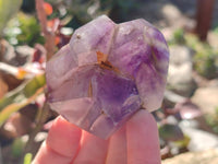 Polished Window Amethyst Quartz Crystals x 6 From Akansobe, Madagascar - Toprock Gemstones and Minerals 