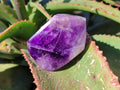 Polished Window Amethyst Quartz Crystals x 6 From Akansobe, Madagascar - Toprock Gemstones and Minerals 