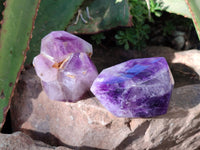 Polished Window Amethyst Quartz Crystals x 6 From Akansobe, Madagascar - Toprock Gemstones and Minerals 