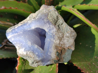 Natural Blue Lace Agate Geode Specimens x 12 From Malawi