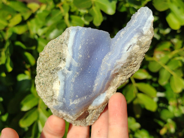 Natural Blue Lace Agate Geode Specimens x 12 From Malawi