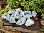 Natural Blue Lace Agate Geode Specimens x 12 From Malawi - Toprock Gemstones and Minerals 