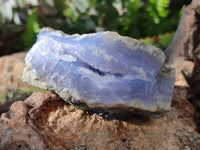Natural Blue Lace Agate Geode Specimens x 12 From Malawi