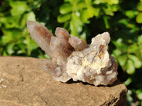 Natural Golden Limonite Coated Spirit Quartz Clusters x 6 From Boekenhouthoek, South Africa