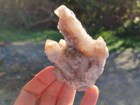 Natural Golden Limonite Coated Spirit Quartz Clusters x 6 From Boekenhouthoek, South Africa