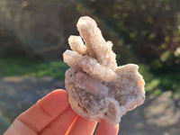 Natural Golden Limonite Coated Spirit Quartz Clusters x 6 From Boekenhouthoek, South Africa