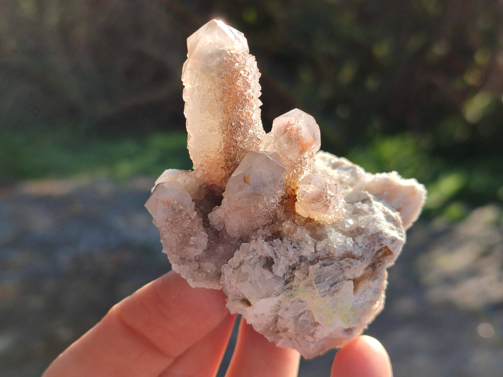 Natural Golden Limonite Coated Spirit Quartz Clusters x 6 From Boekenhouthoek, South Africa - Toprock Gemstones and Minerals 