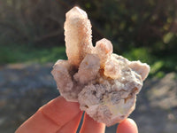 Natural Golden Limonite Coated Spirit Quartz Clusters x 6 From Boekenhouthoek, South Africa